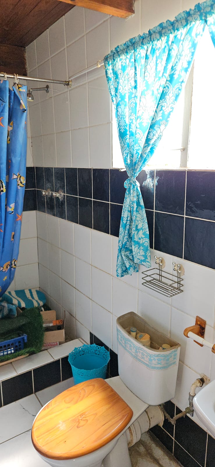 4 Bedroom Property for Sale in Wolmaransstad North West